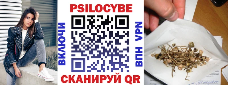 закладки  Юрьевец  Псилоцибиновые грибы Cubensis 